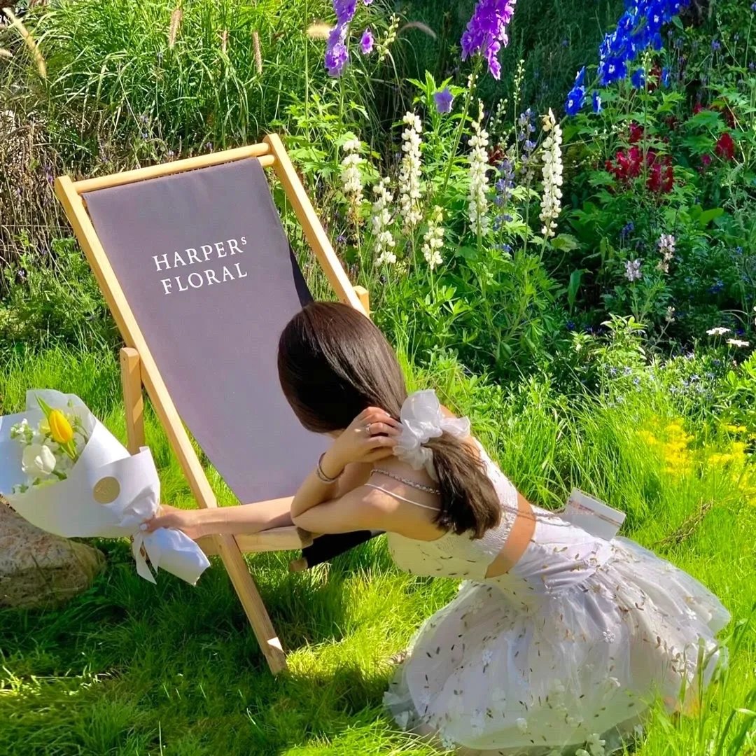 东陵大盗（三）