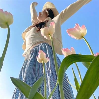 春光灿烂猪八戒